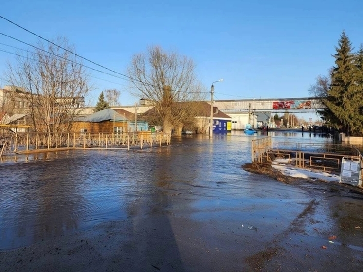 17 дорог и 900 садовых участков в Башкирии оказались затопленными