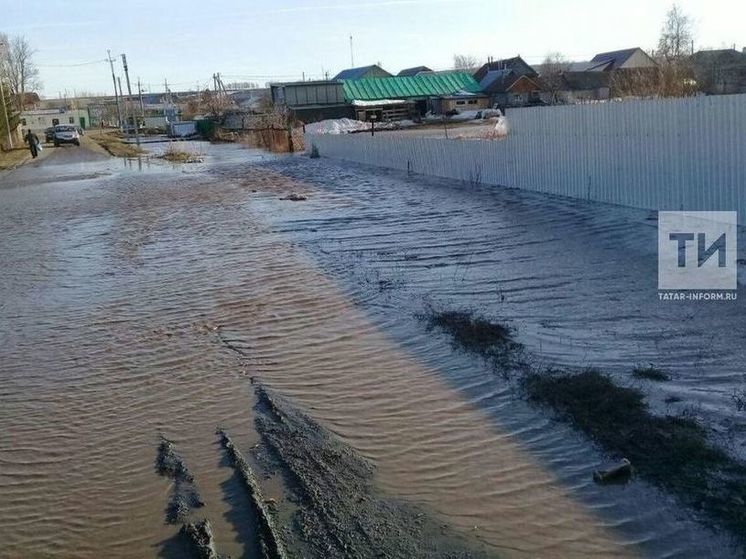 В челнинском СНТ талыми водами затопило более полусотни участков