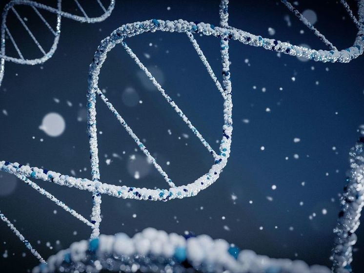 С помощью тестов ДНК можно обнаружить геном великой личности