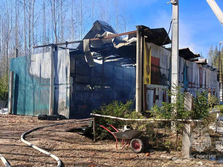 В Ивановской области пожарные сорок минут тушили гараж с автомобилем
