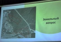 Территорию леса, по которой протекает река Кайдаловка возле стадиона СибВО, предложили превратить в Центральный парк с прудами в Чите