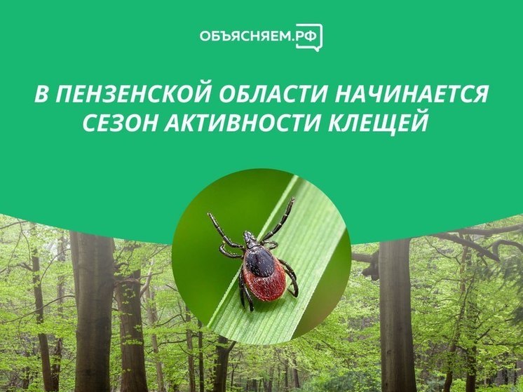 Пензенцам рассказали, как защититься от укусов клещей