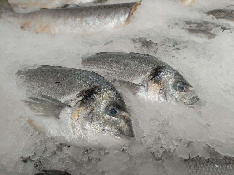 В январе Кольское Заполярье произвело рекордные 128 тонн рыбного филе