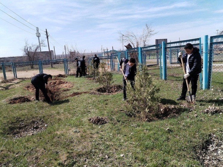 Школьники Калмыкии продолжают субботники в школьных дворах