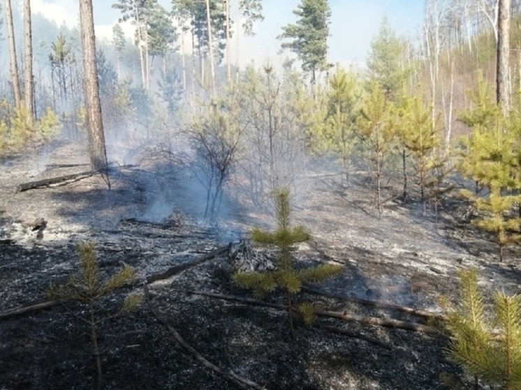Лесной пожар тушат возле Маккавеево в Забайкалье