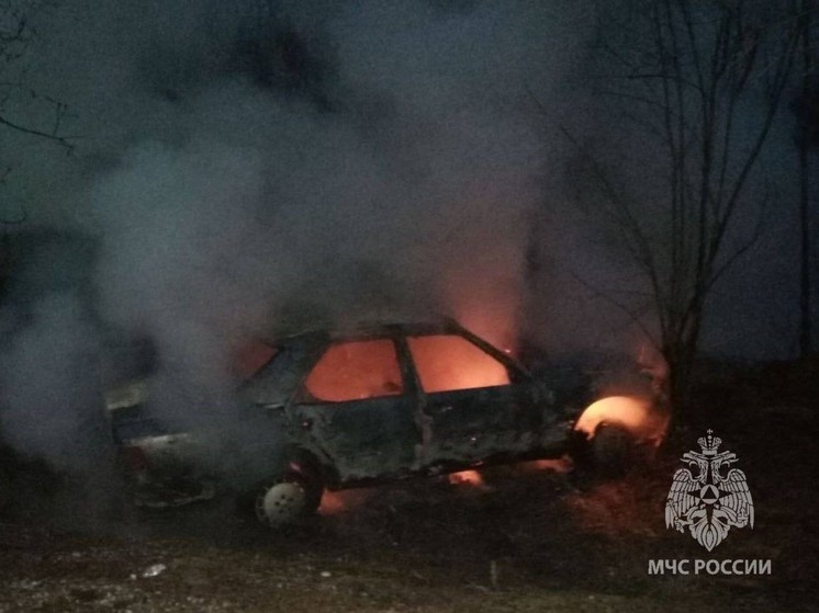 В Зеленоградске загорелся автомобиль