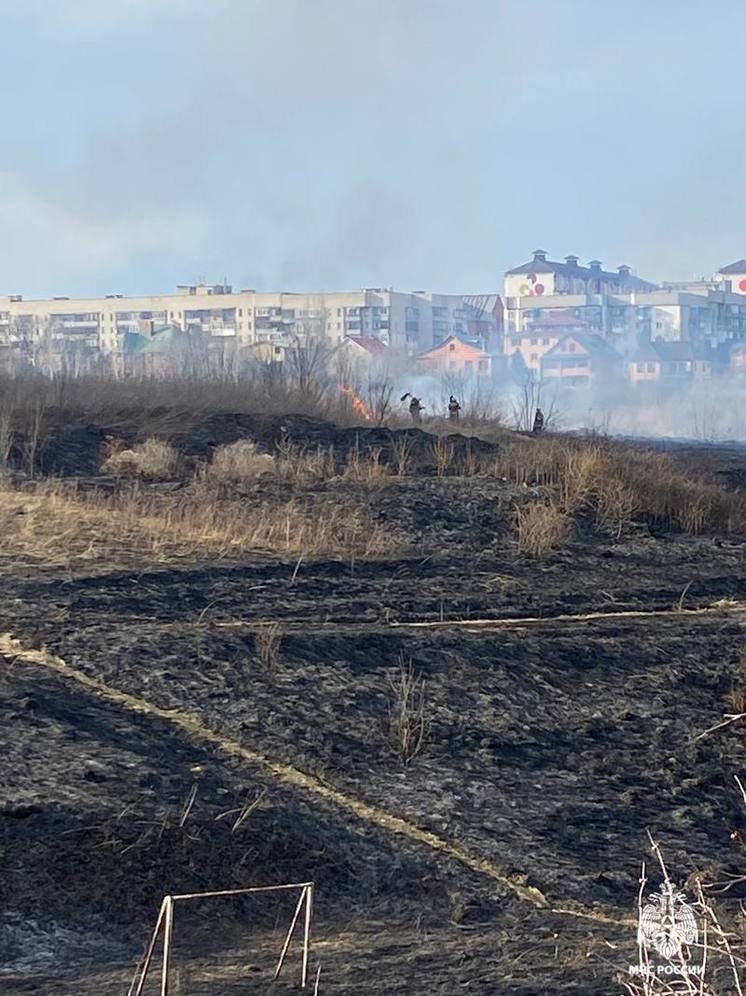 Пожарные Курской области за прошлые сутки поднимались по тревоге 54 раза