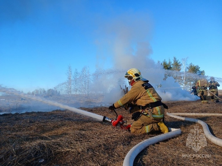 Новгородскую область признали готовой к пожароопасному сезону