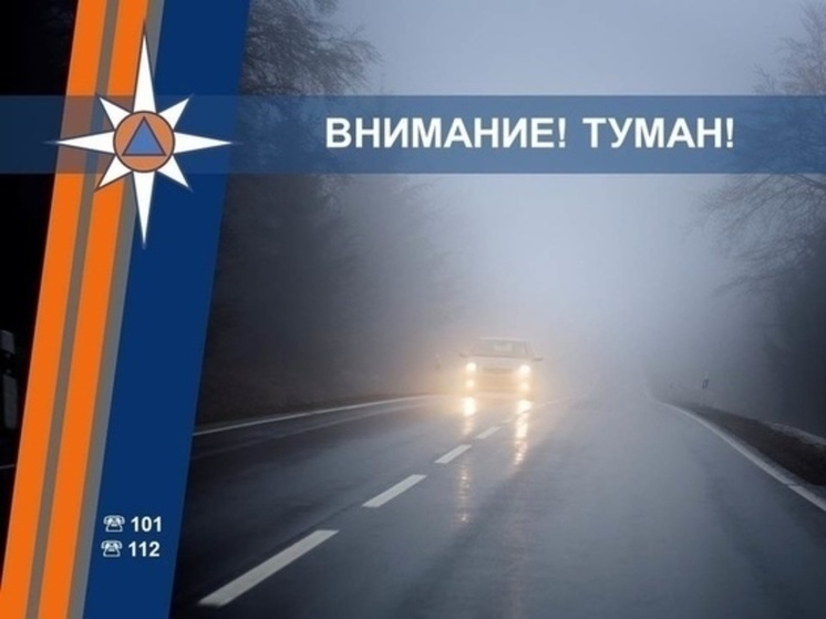Спасатели предупредили жителей Курской области о тумане