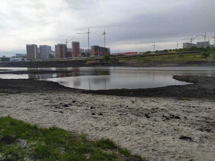 В Пензе приведут в порядок «Верхний пруд» в Арбеково