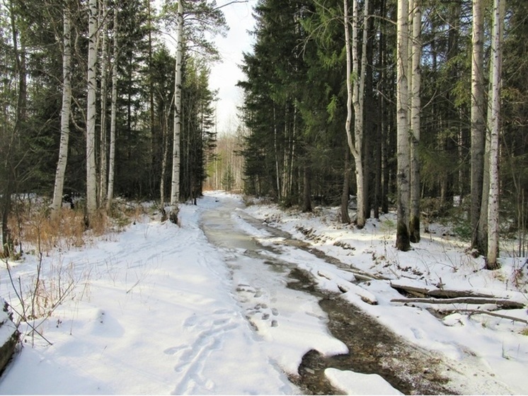 Похолодание и мокрый снег ожидают в Свердловской области