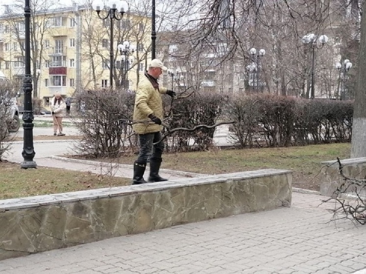 В Туле более 10 тыс жителей участвовали в субботнике