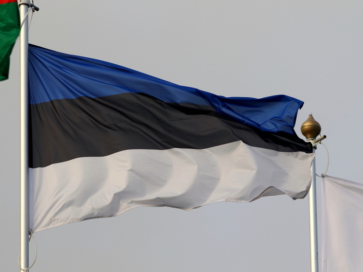 Forbes: Эстония нашла для Украины еще один миллион снарядов