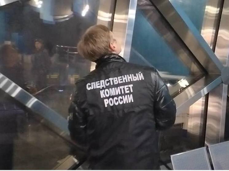 СКР: из-за ЧП с ребенком в Приморском океанариуме завели дело