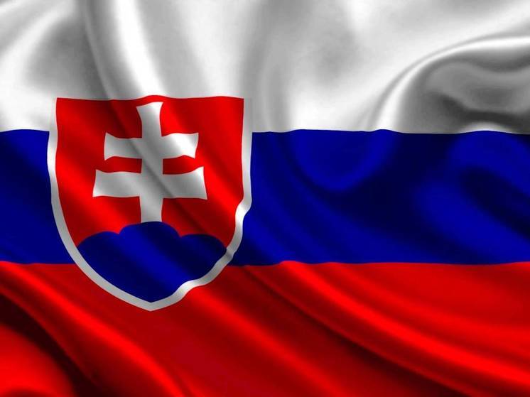 Пеллегрини побеждает во втором туре выборов президента Словакии с 54,32%