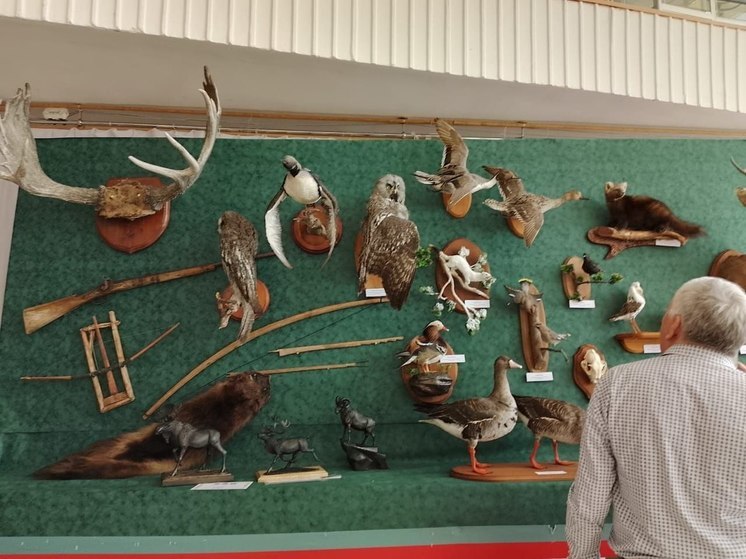 В Якутске открылась трофейная выставка «Охота и традиции охоты»