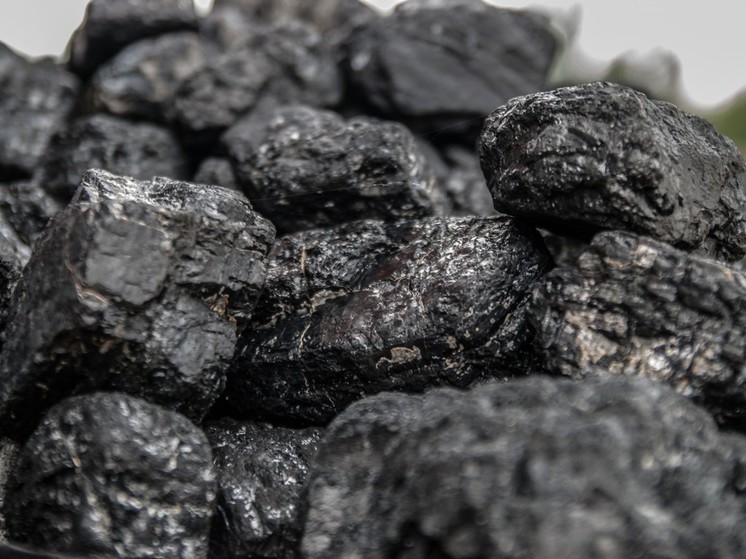 В Якутии выявили месторождения для извлечения гуминовых кислот из угля