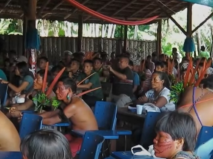 Исследователи: крупнейшее коренное племя Амазонии оказалось заражено ртутью