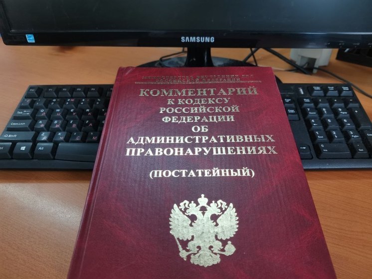 Позвонил и не вернул: злоумышленника задержали в Хабаровском крае