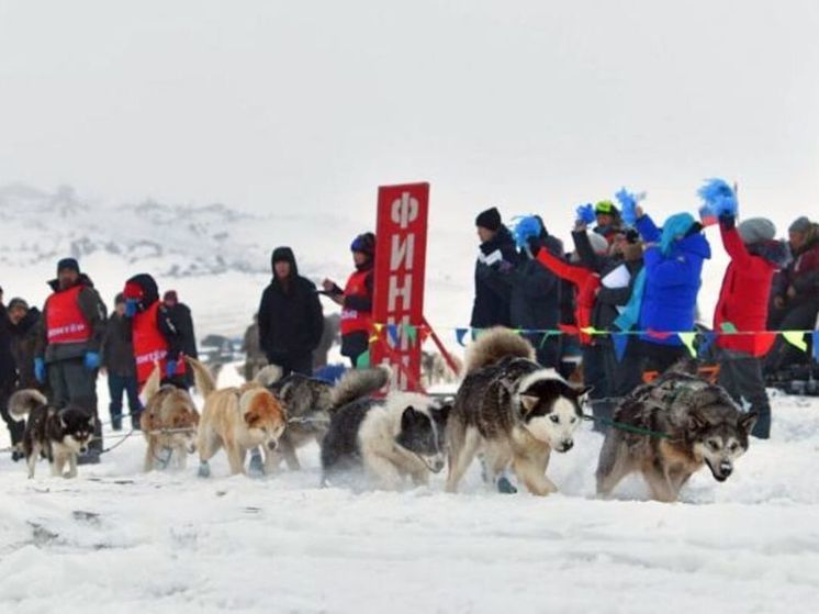 Гонка на собачьих упряжках "Надежда" преодолела экватор
