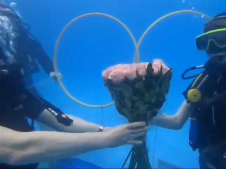 Участник СВО из Новосибирска сделал предложение любимой под водой