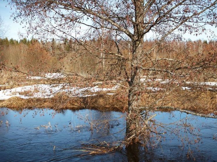 Сегодня в Подмосковье вновь вернется тепло