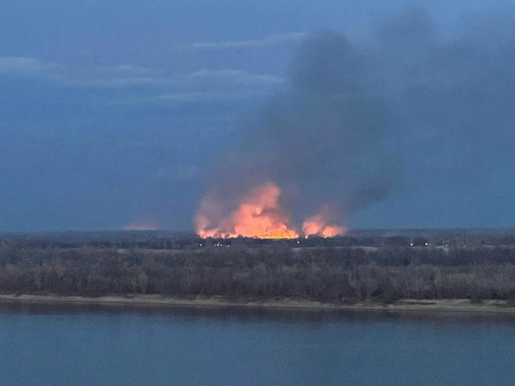 В пойме под Волгоградом потушили крупный ландшафтный пожар