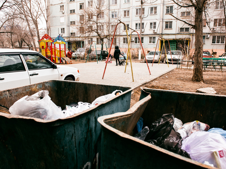 В Астраханской области крысы атакуют мусорные баки
