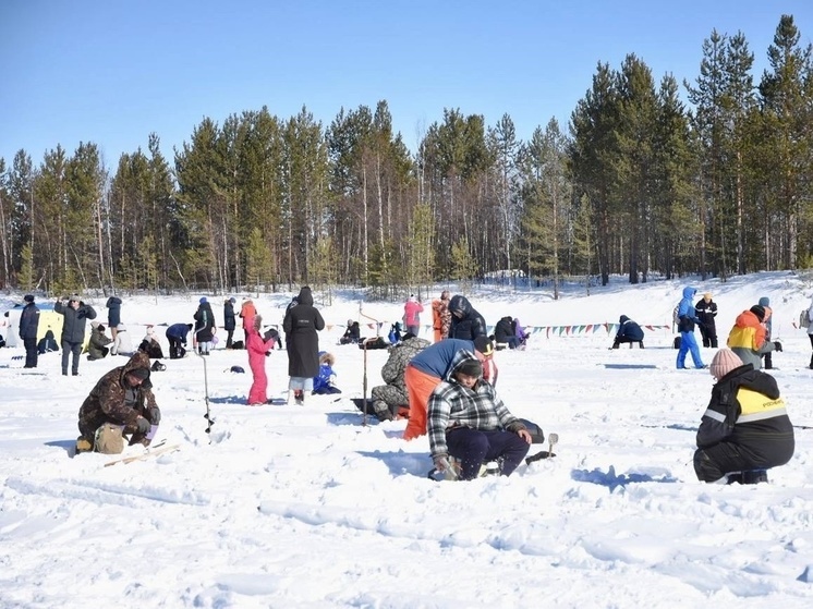 Чемпионат по зимней рыбалке и фестиваль ухи прошли в Губкинском