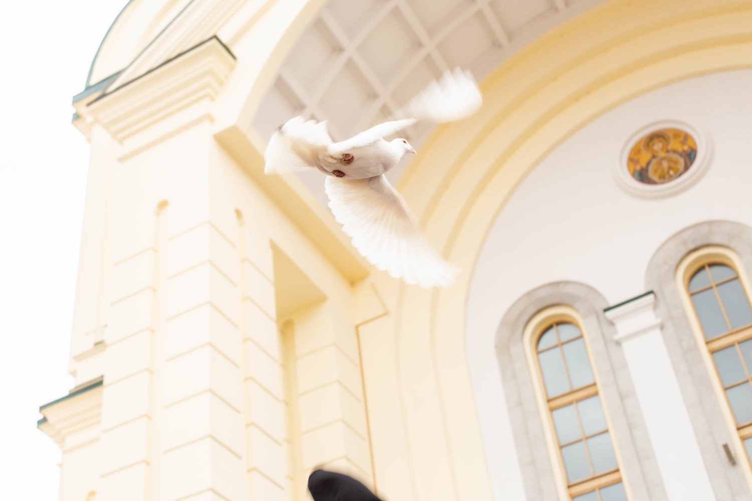 Белых голубей выпустили в небо в праздник Благовещения 2024 в Хабаровске: фото