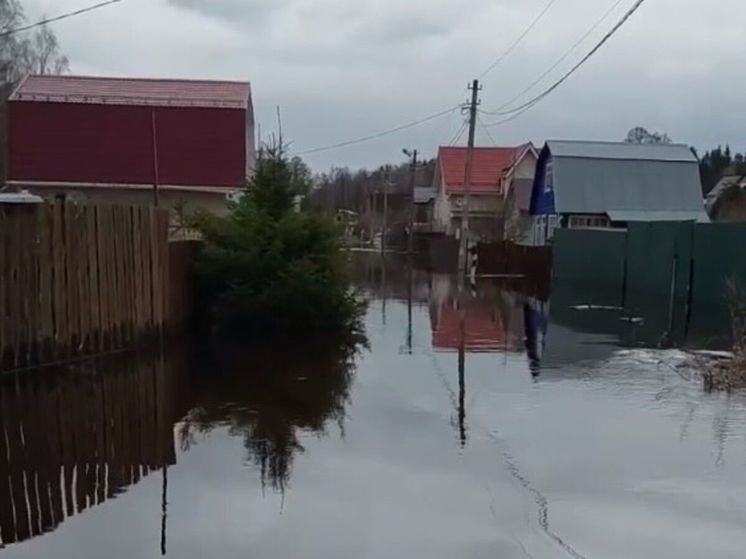 Более 650 дворов затопило в Подмосковье за сутки