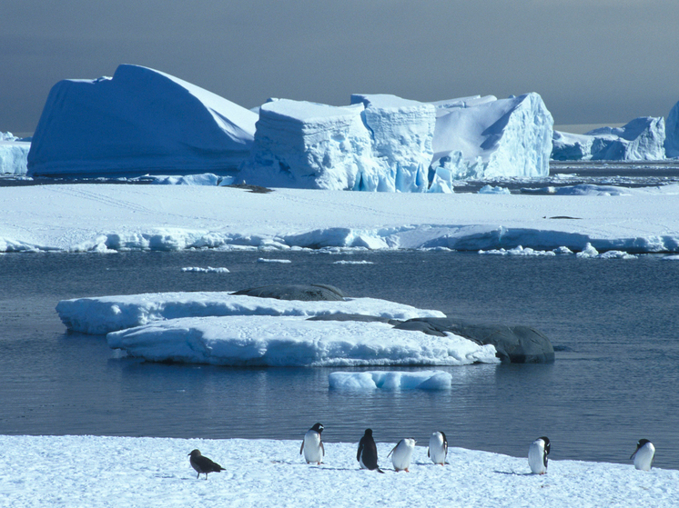Мировой рекордный скачок температуры в Антарктике назвали катастрофой: предвестник страшной угрозы
