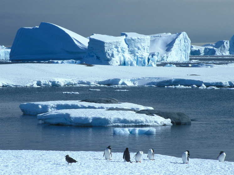 Polar explorers have difficulty finding words to describe it