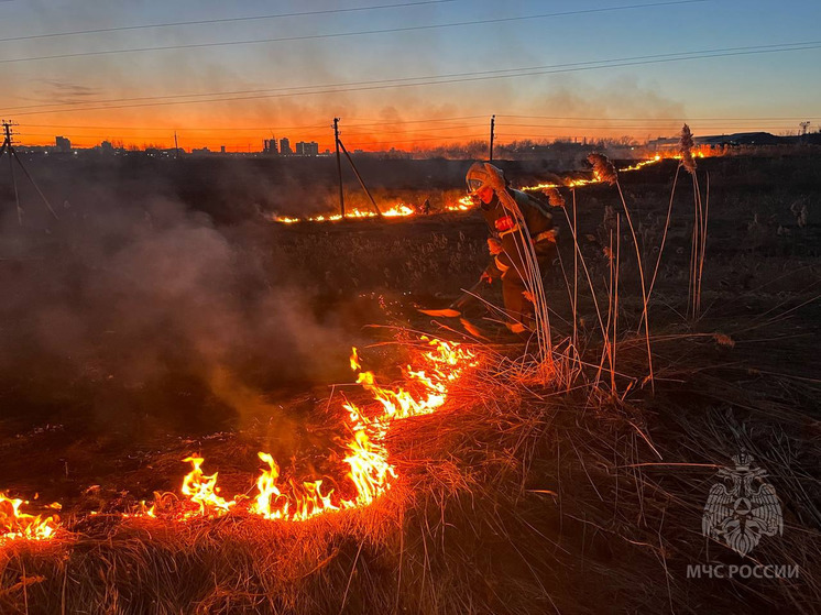 Пожарные Ивановской области тушили 9 палов травы площадью 829 квадратных метров