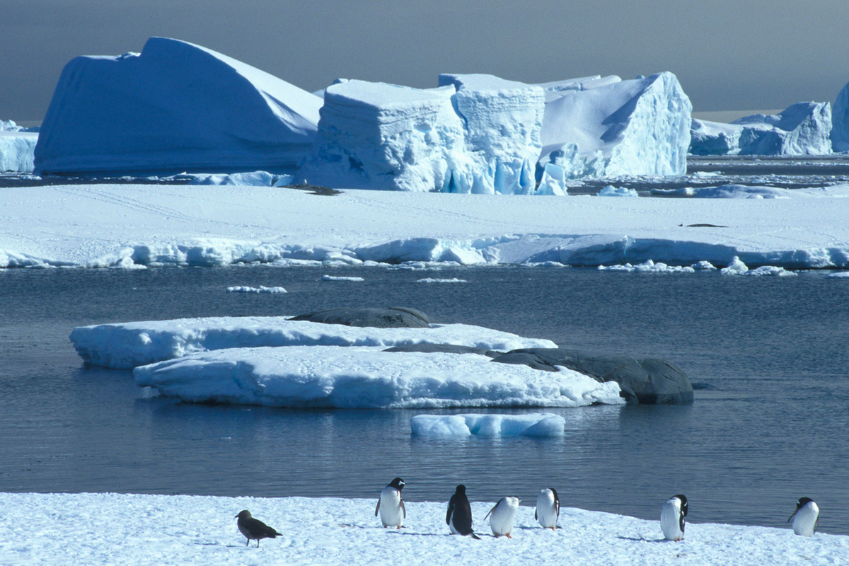 World record temperature rise in Antarctica called a disaster: a harbinger of a terrible threat