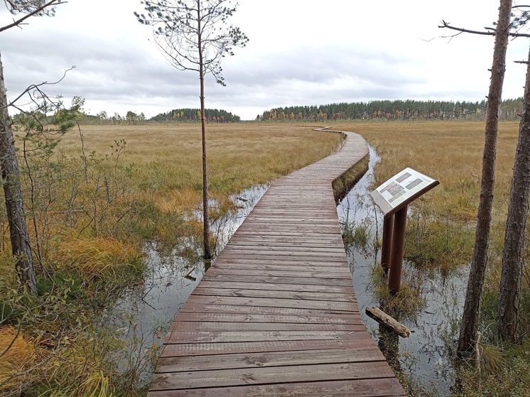 В Калининградской области появится новый национальный парк