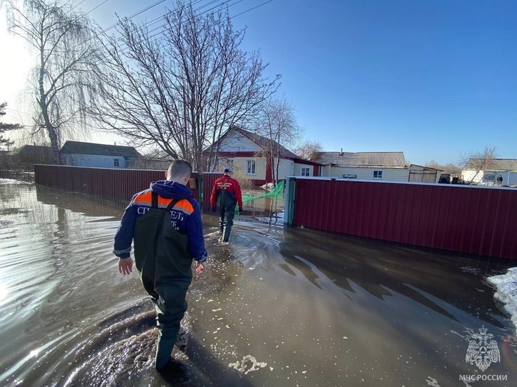 Свыше 120 домов подтоплено в Алтайском крае