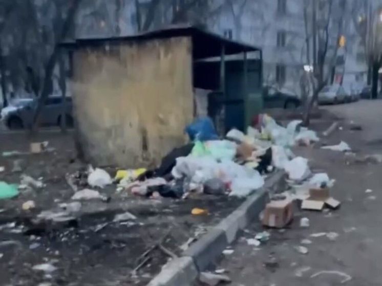 На крыс и горы мусора пожаловались жители Подольска