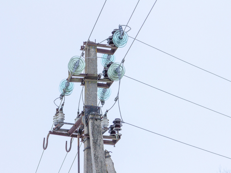 Благодаря экипажу дружинников задержан человек, срезающий электропровода в Псковском районе