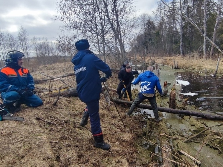 Уничтожали плотины: МЧС спасли СНТ на границе Тверской и Московской областей от затопления