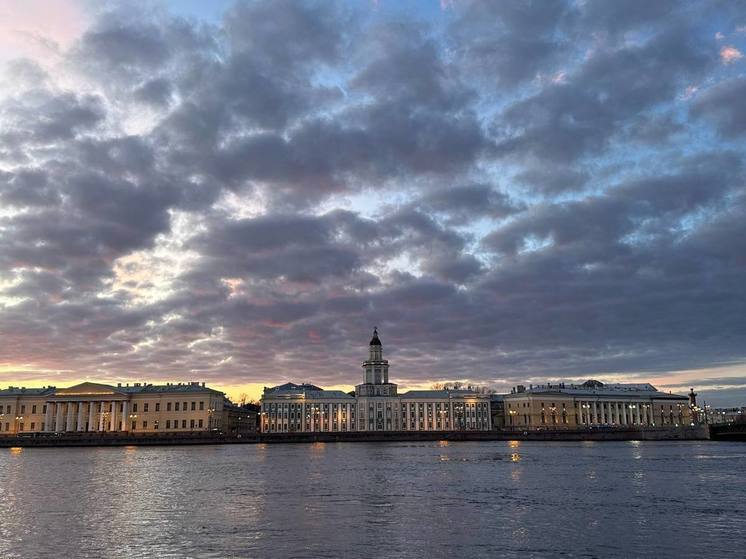 В Петербурге объявили «желтый» уровень опасности из-за порывистого ветра