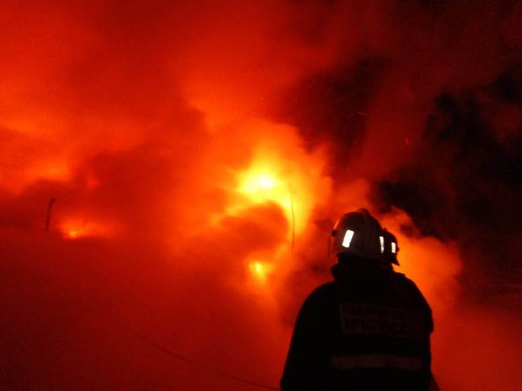 Жительница деревни Мураши в Пермском крае сгорела на пожаре