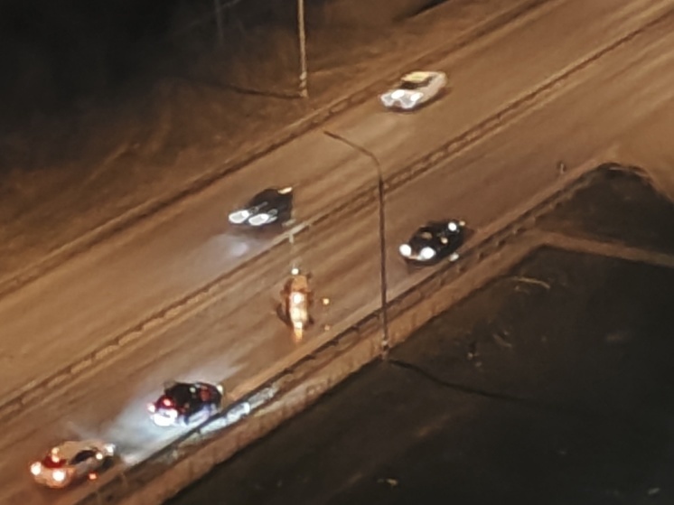 В ночь на 7 апреля на Муромском шоссе в Рязани перевернулась легковушка