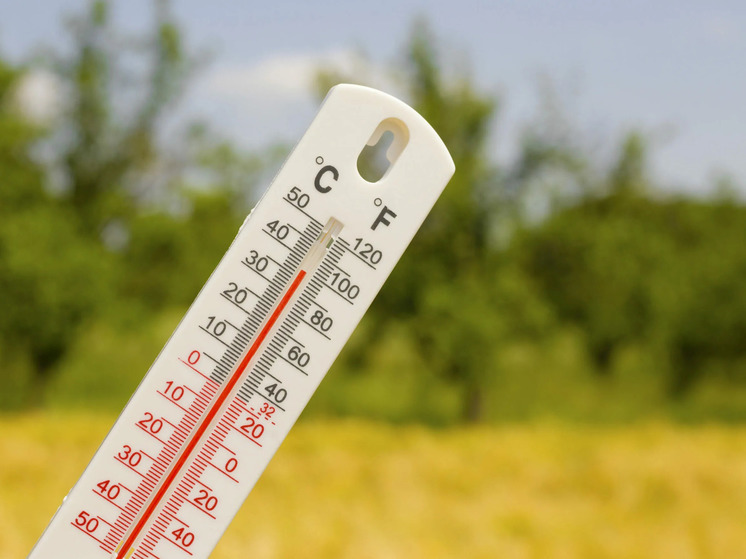 На грядущей рабочей неделе орловские метеорологи обещают тепло
