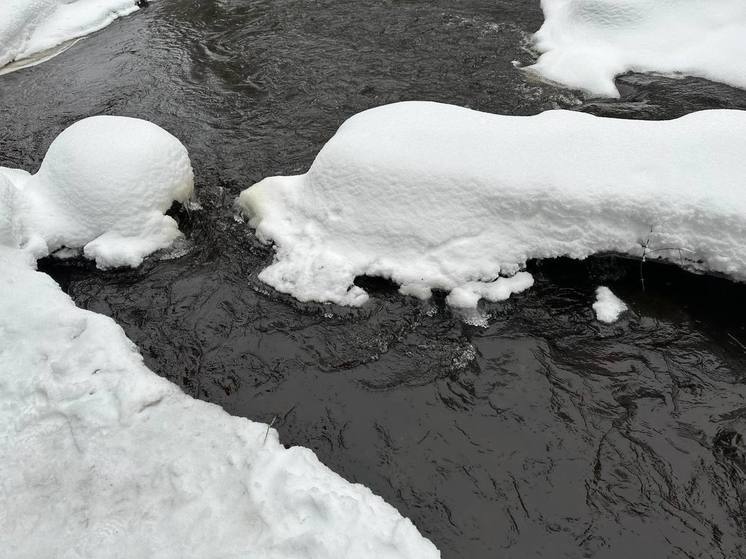 В Национальном парке «Валдайский» отобрали пробы снега и воды