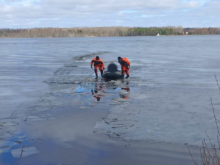 В Бокситогорском районе мужчина утонул в озере Дымское