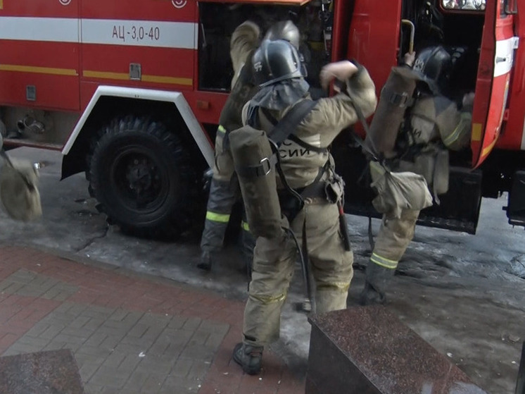 В садоводстве во Всеволожском районе сгорел дачный дом