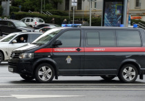 В Подмосковье возбудили уголовное дело после нападения на полицейских, сообщили в телеграм-канале СУ СК РФ по региону