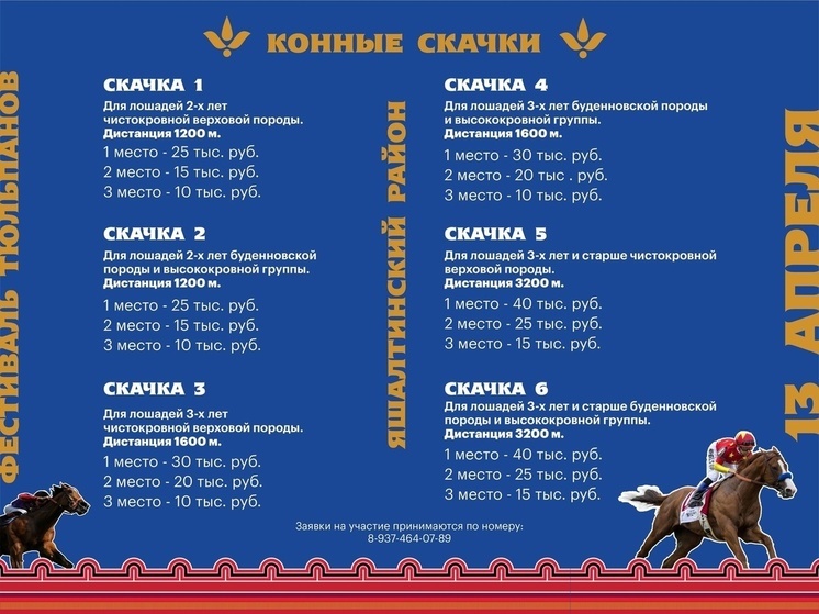 Один из районов Калмыкии приглашает поучаствовать в скачках