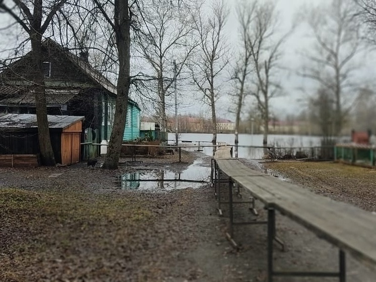 Спасатели откачали воду из подвала тихвинца